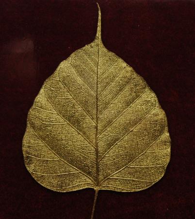 Vergoldetes Blatt