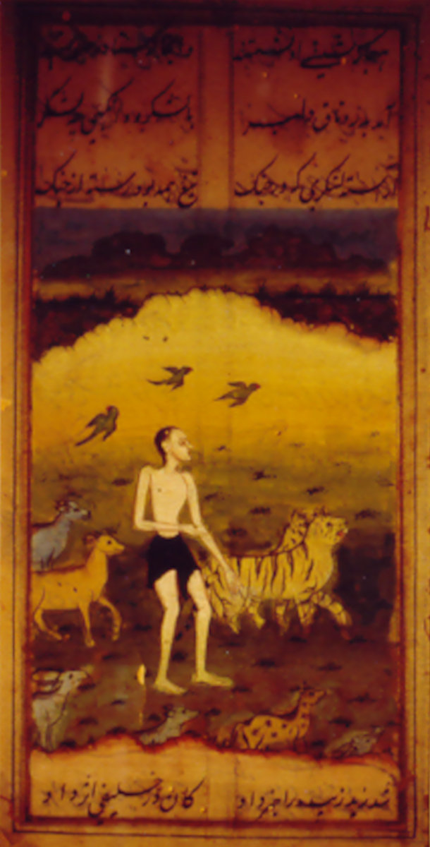 Madschnun in der Wüste