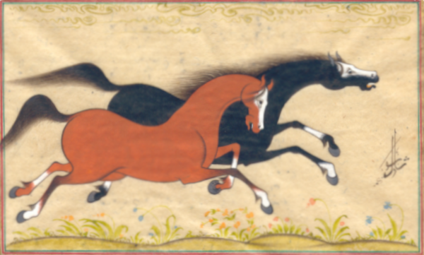 Rasul Galoppierende Pferde