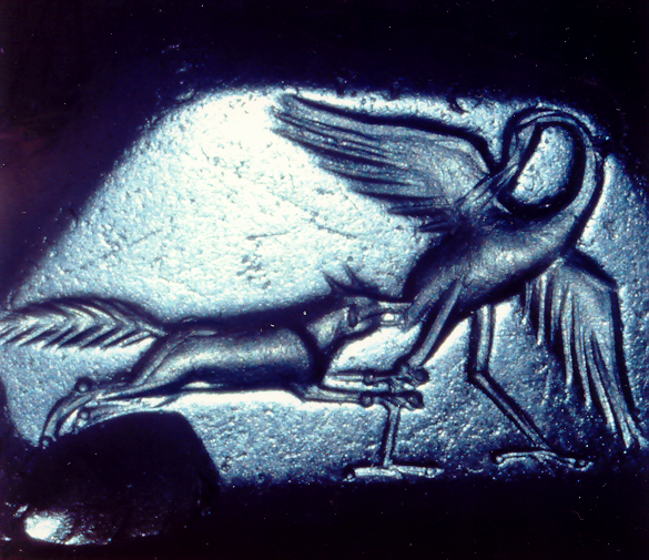 Cache Seite 1 Storch und Fuchs