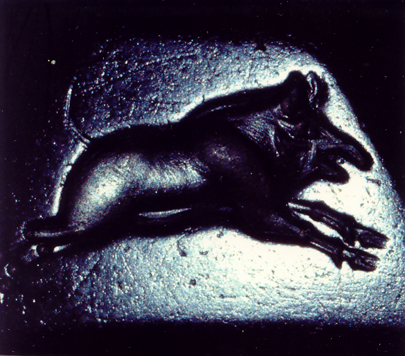 Cache Seite 3 Wildschwein