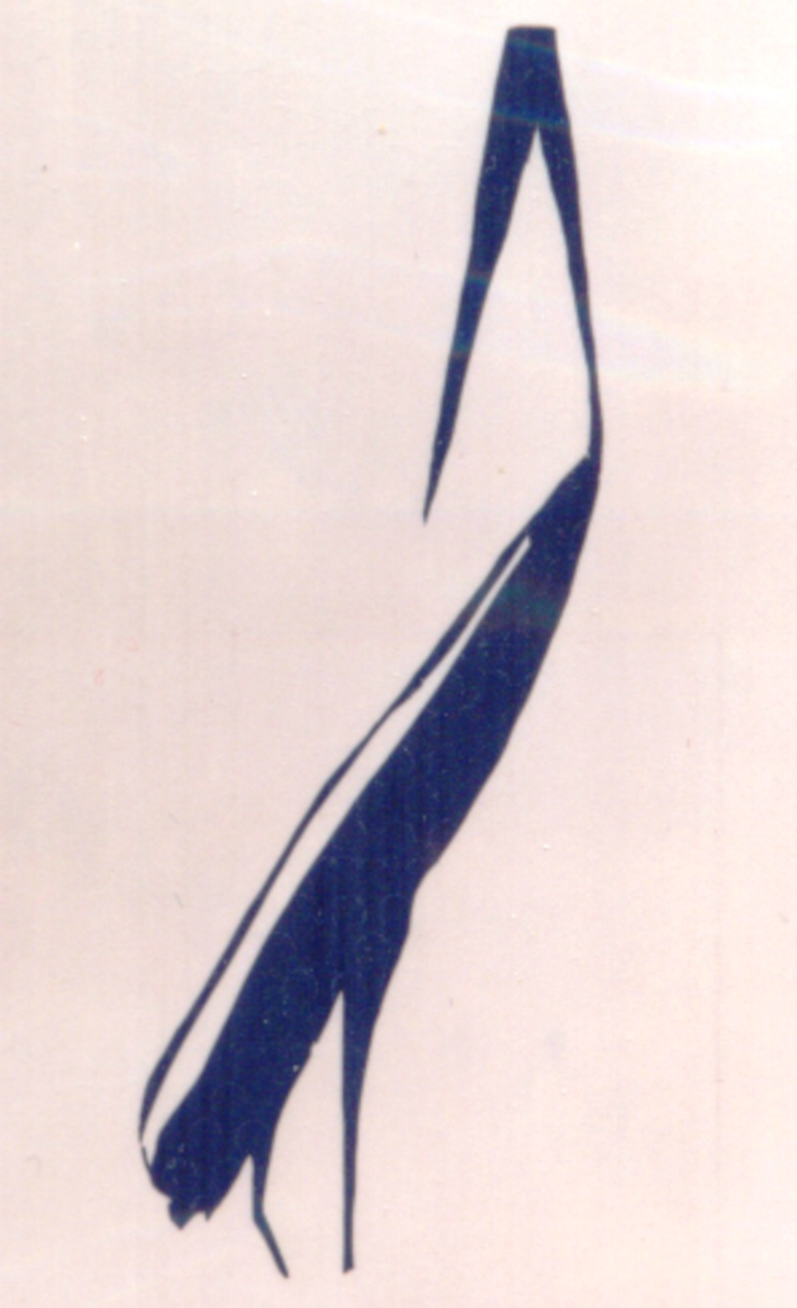 2019 09 27   Kunstobjekte von Fritz Mamier 007